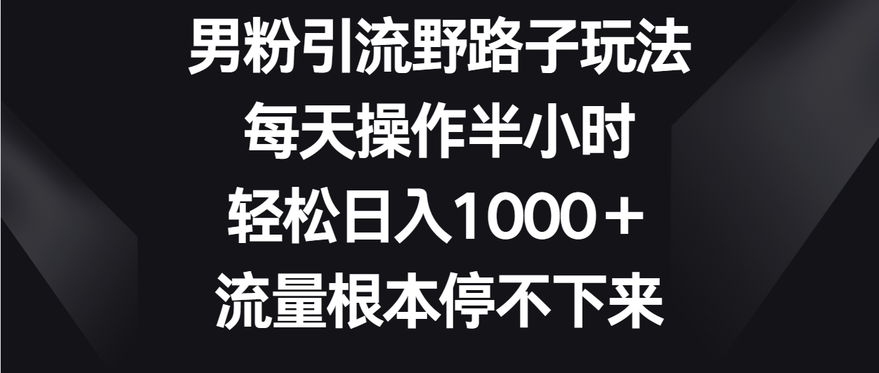 男粉引流野路子玩法，每天操作半小时轻松日入1000＋，流量根本停不下来-星利智