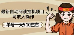 最新自动阅读挂机项目，单号一天5-20左右可放大操作【详细教程+挂机脚本】-星利智