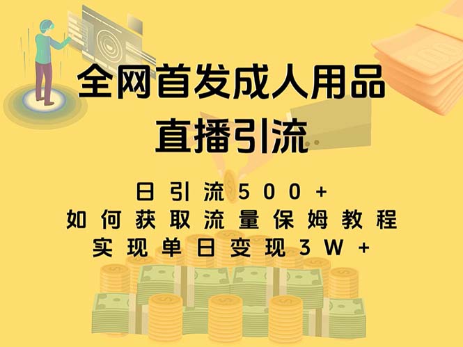 最新全网独创首发，成人用品直播引流获客暴力玩法，单日变现3w保姆级教程-星利智