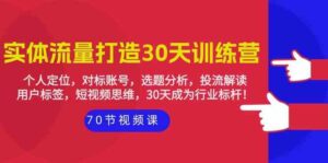 实体流量打造30天训练营:个人定位,对标账号,选题分析,投流解读(70节)-星利智