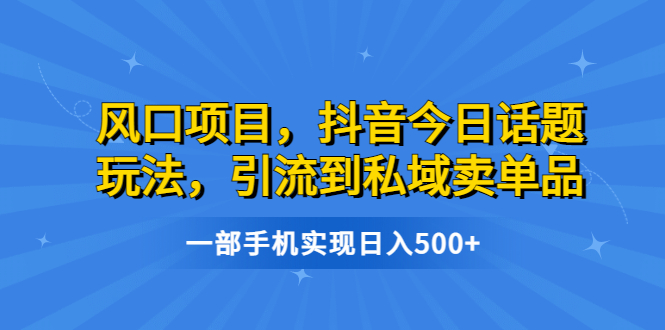 风口项目,抖音今日话题玩法,引流到私域卖单品,一部手机实现日入500+-星利智
