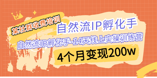 某社群收费培训：自然流IP 孵化手-14天线上实操训练营 4个月变现200w-星利智