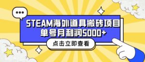 收费6980的Steam海外道具搬砖项目，单号月收益5000+全套实操教程-星利智
