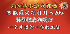 2024年寒假爆火项目，小游戏直播月入20w+，学会了之后你将翻身-星利智