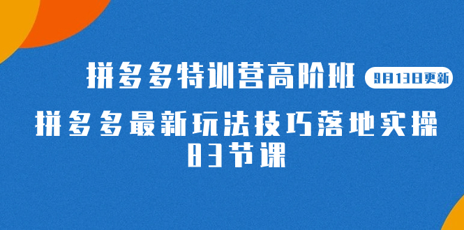 2023拼多多·特训营高阶班【9月19日更新】拼多多最新玩法技巧落地实操-83节-星利智