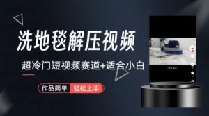 超冷门抖音短视频赛道-清洗地毯解压视频-简单无脑怼作品（教程+素材）-星利智