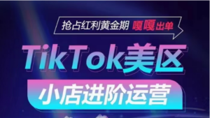 TikTok Shop美区小店进阶运营，快速掌握各流量渠道玩法，抢占红利黄金期，嘎嘎出单-星利智