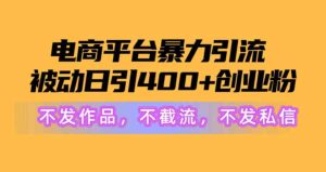 （10168期）电商平台暴力引流,被动日引400+创业粉不发作品，不截流，不发私信-星利智