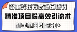 精准项目粉高效引流术，新手单日引流50+，多重变现方式稳定赚钱-星利智