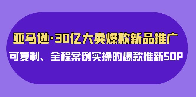亚马逊30亿大卖爆款新品推广,可复制、全程案例实操的爆款推新SOP-星利智