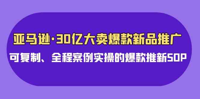 （9944期）亚马逊30亿·大卖爆款新品推广，可复制、全程案例实操的爆款推新SOP-星利智