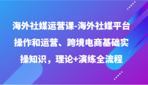 海外社媒运营课-海外社媒平台操作和运营、跨境电商基础实操知识，理论+演练全流程-星利智