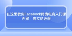 在这里教你Facebook跨境电商入门课，外贸·独立站必修（19节课）-星利智