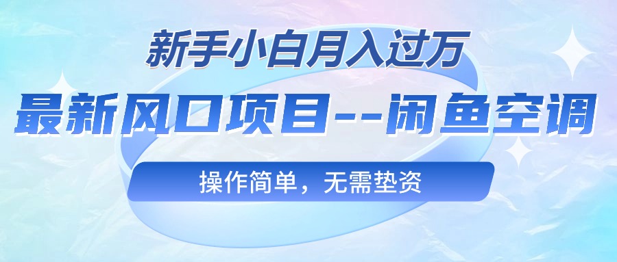 （10767期）最新风口项目—闲鱼空调，新手小白月入过万，操作简单，无需垫资-星利智