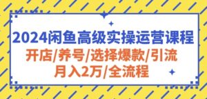 2024闲鱼高级实操运营课程：开店/养号/选择爆款/引流/月入2万/全流程-星利智