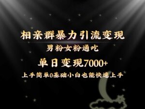 全网首发相亲群暴力引流男粉女粉通吃变现玩法，单日变现7000+保姆教学1.0-星利智