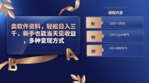 卖软件资料，轻松日入三千，新手也能当天见收益，多种变现方式-星利智