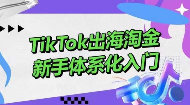 TikTok出海淘金,新手体系化入门,零基础快速入门,掌握短视频、直播带货等引流到变现的知识-星利智